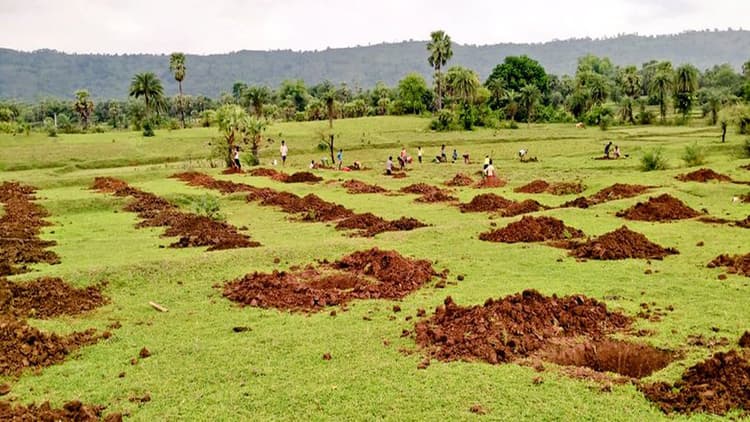 झारखंड में बिरसा हरित ग्राम योजना में नहीं दिख रही तेजी, मानसून आने को है पर अब तक नहीं खुदे गड्ढे