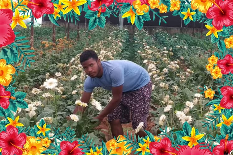 फूलों की खेती कर पीएम मोदी के ‘आत्मनिर्भर भारत’ अभियान का सिपाही बन रहे झारखंड के युवा