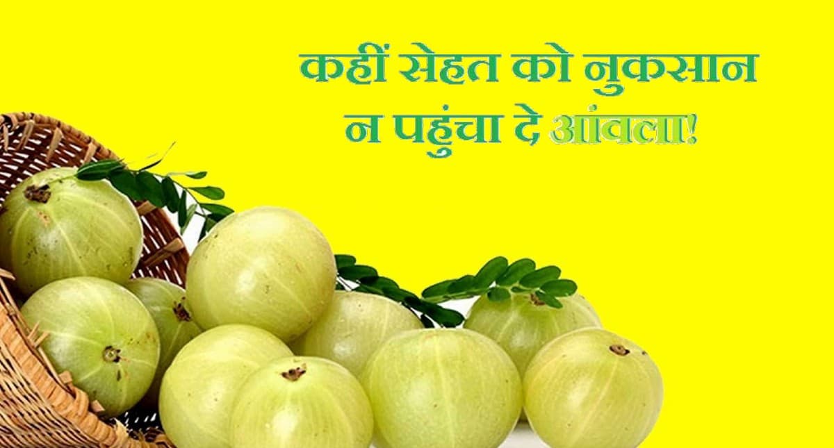 Side Effects Of Amla: अमृत से कम नहीं है आंवला, पर इसके इस तरह के सेवन से  हो सकते हैं नुकसान