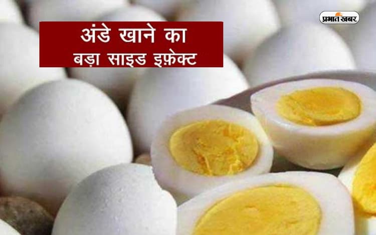 Health Tips: अगर सर्दियों में रोज खाते हैं अंडे तो हो सकता है ये नुकसान, होता है कोलेस्ट्रॉल बढ़ने का खतरा