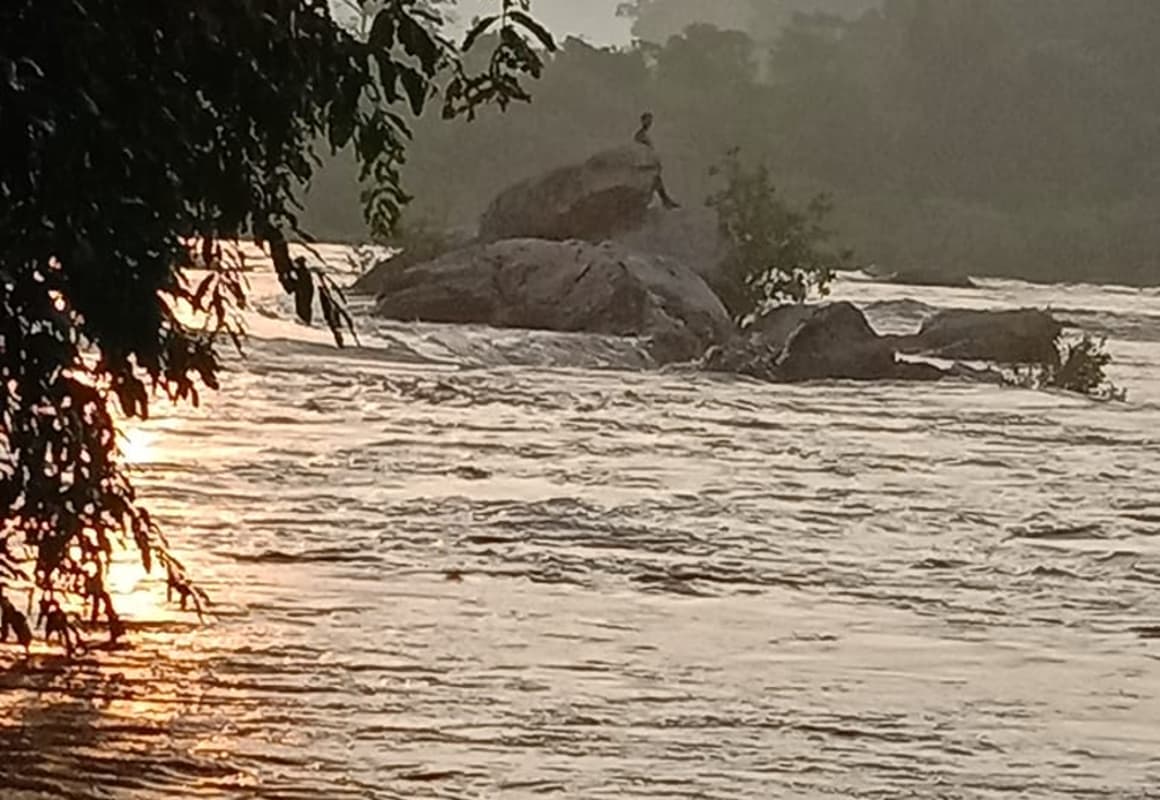 दुर्गावती व सुवरन नदियों का बढ‍़ा जलस्तर, दो पुल बहे, स्कूल व अस्पताल में घुसा पानी