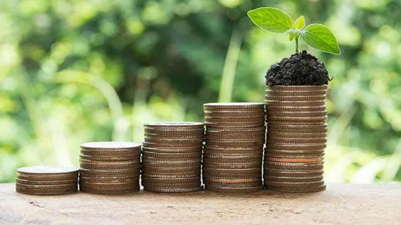 Small Saving Scheme: निवेश के लिए सर्वश्रेष्ठ छोटी बचत योजनाएं 