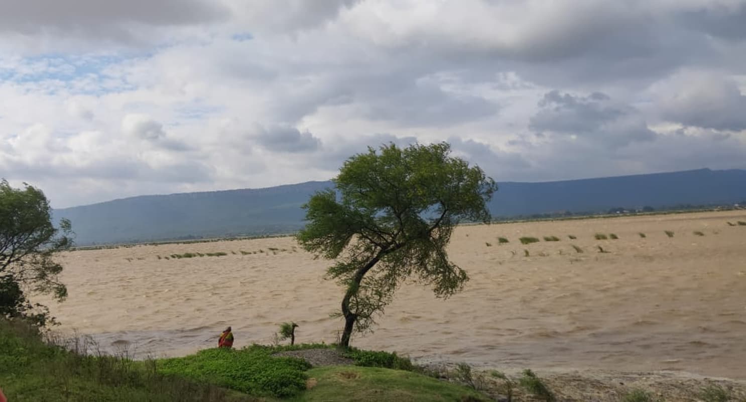 पलामू-गढ़वा में बाढ़ की आशंका से सहमे ग्रामीण, तेजी से बढ़ रहा है सोन का जलस्तर