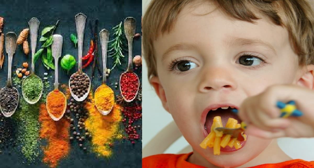 Spices For Toddler: छोटे बच्चों के भोजन में कब से एड करें मसाले, जानें सही उम्र और मात्रा