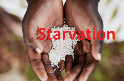 Starvation : हर एक मिनट में भुखमरी से मरते हैं 11 लोग