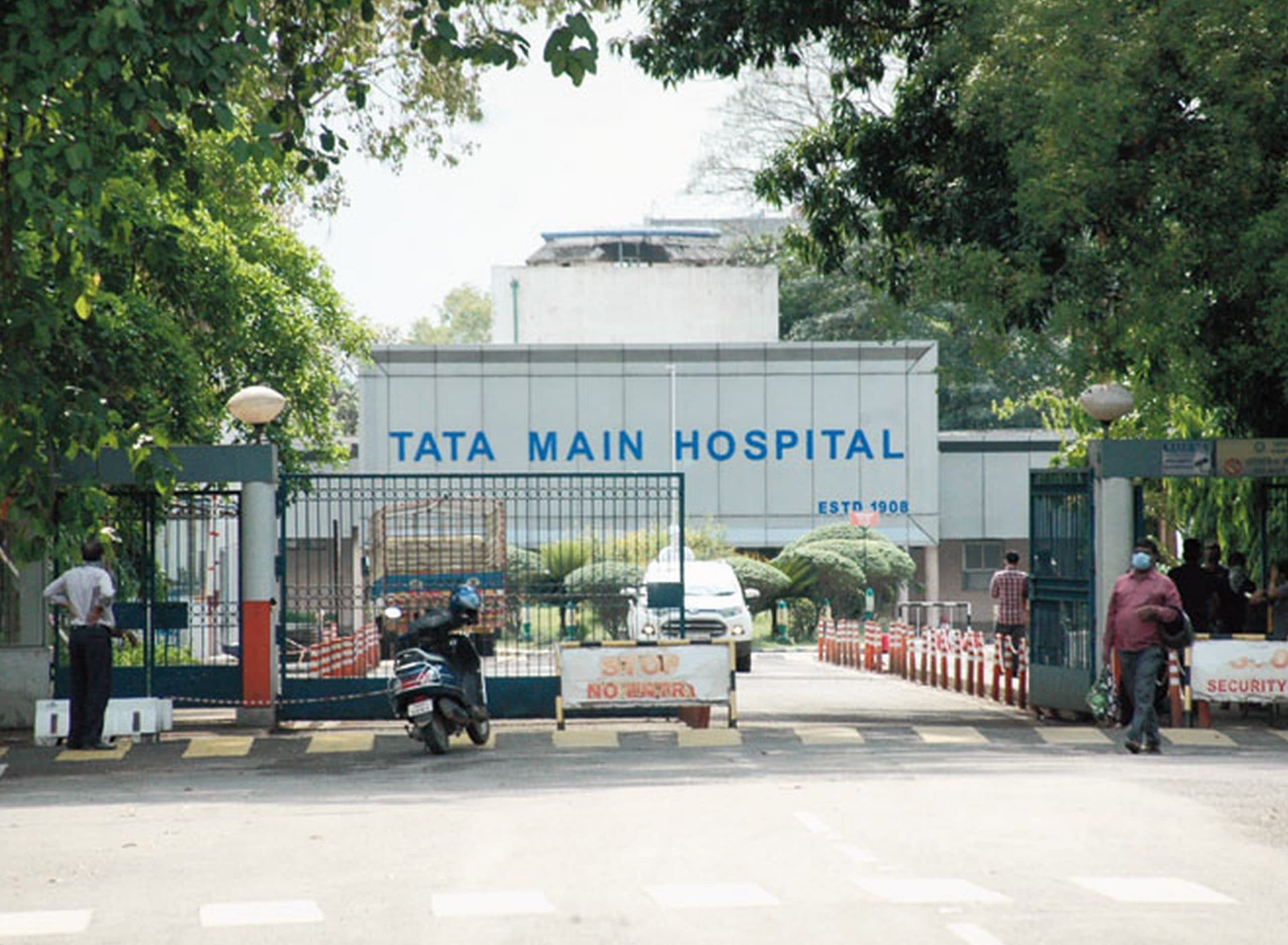 Jamshedpur News: आम तोड़ने के दौरान पेड़ से गिरा किशोर, TMH में चल रहा इलाज