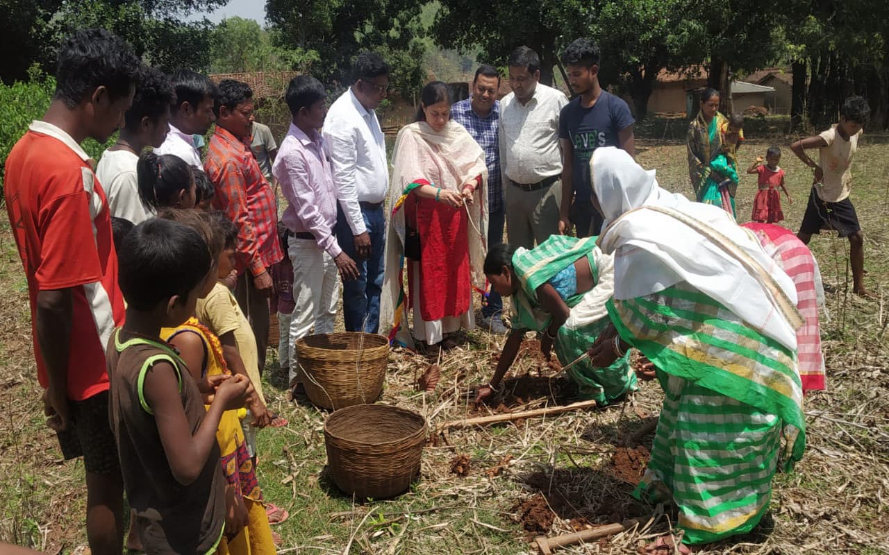 Prabhat Khabar Exclusive: झारखंड के 'हल्दी' गांव पहुंची ट्राइफेड की टीम, आर्थिक सेहत सुधारने में जुटे किसान