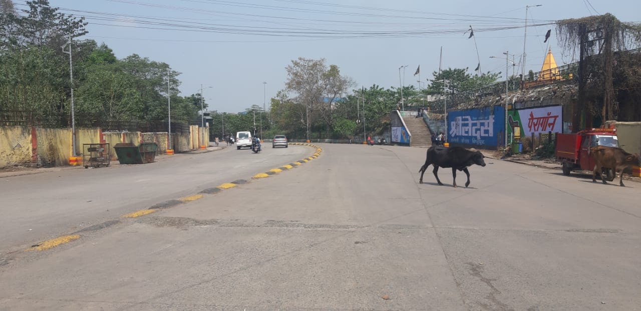 जनता कर्फ्यू : ठहर गयी जिंदगी, हर ओर सन्नाटा, नहीं खुले दुकान, सड़कों से नदारत रहे वाहन