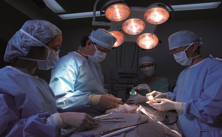 PM Modi ने तेजस से भरी उड़ान, बेंगलुरू में अलग लुक में आए नजर, देखें PHOTOS