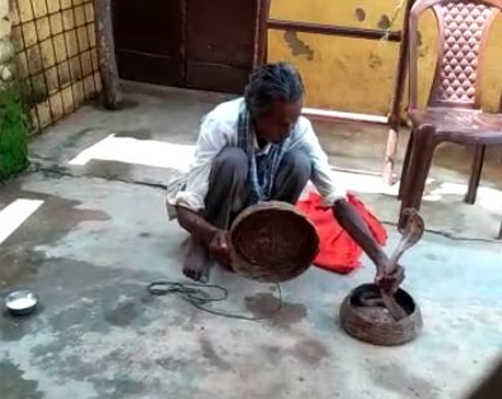 सांप से खेलने में माहिर सपेरे टेकलाल को मनसा पूजा में गेहुंअन सांप ने डंसा, हो गयी मौत