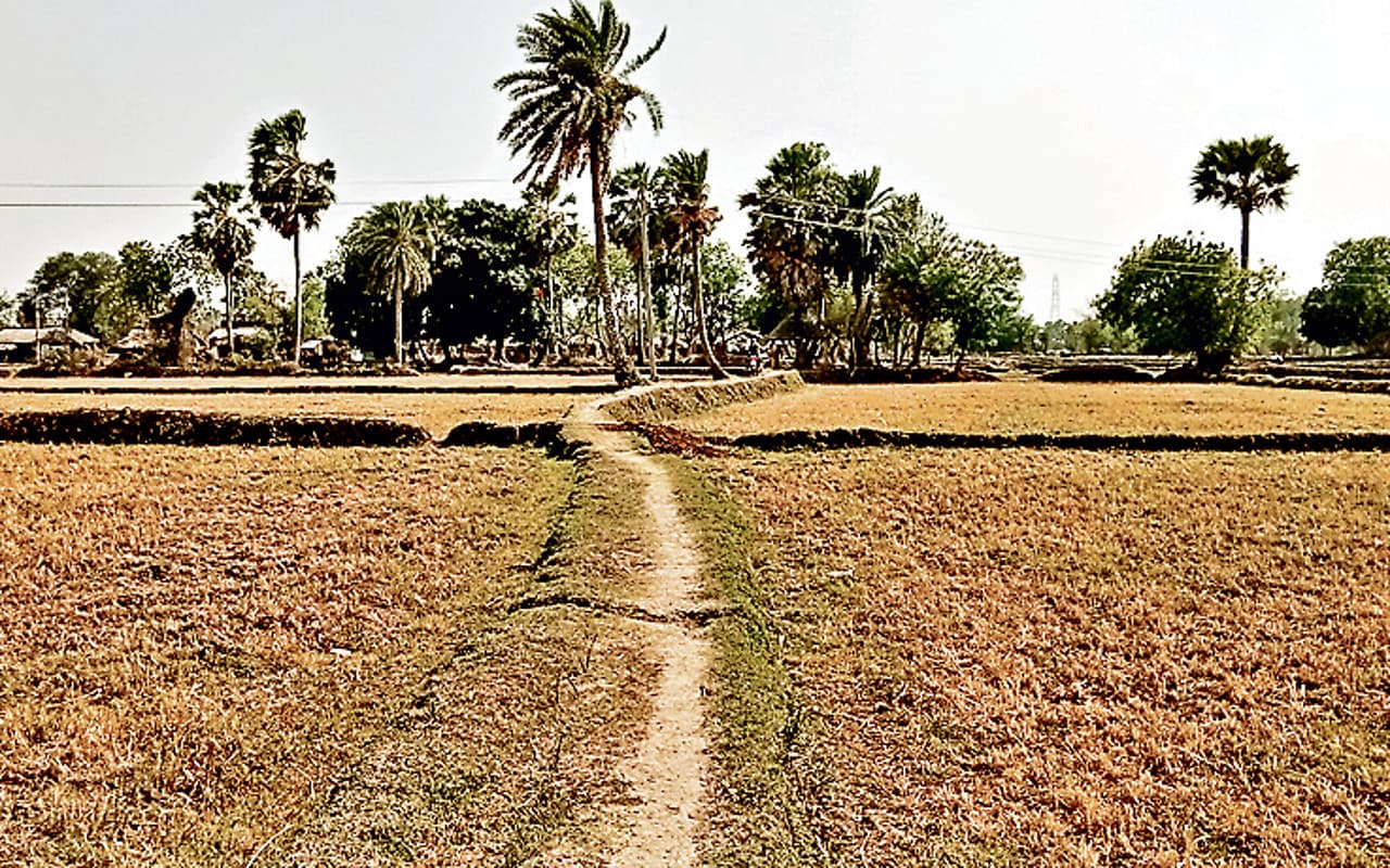 झारखंड का एक ऐसा गांव जहां के ग्रामीण सड़क से नहीं हैं रू-ब-रू, आज भी पगडंडी के सहारे करते हैं आवागमन