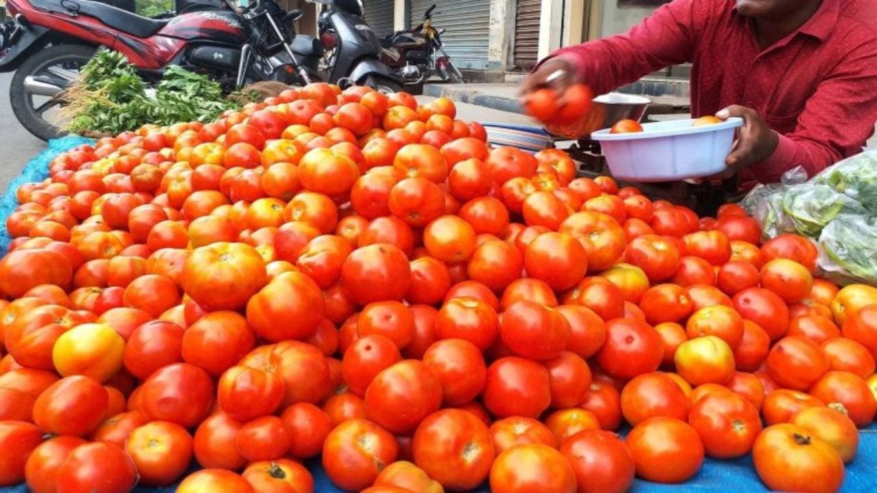 टमाटर ने किया मालामाल! रातोंरात किसान बन गया करोड़पति, 45 दिन में चार करोड़ की कमाई