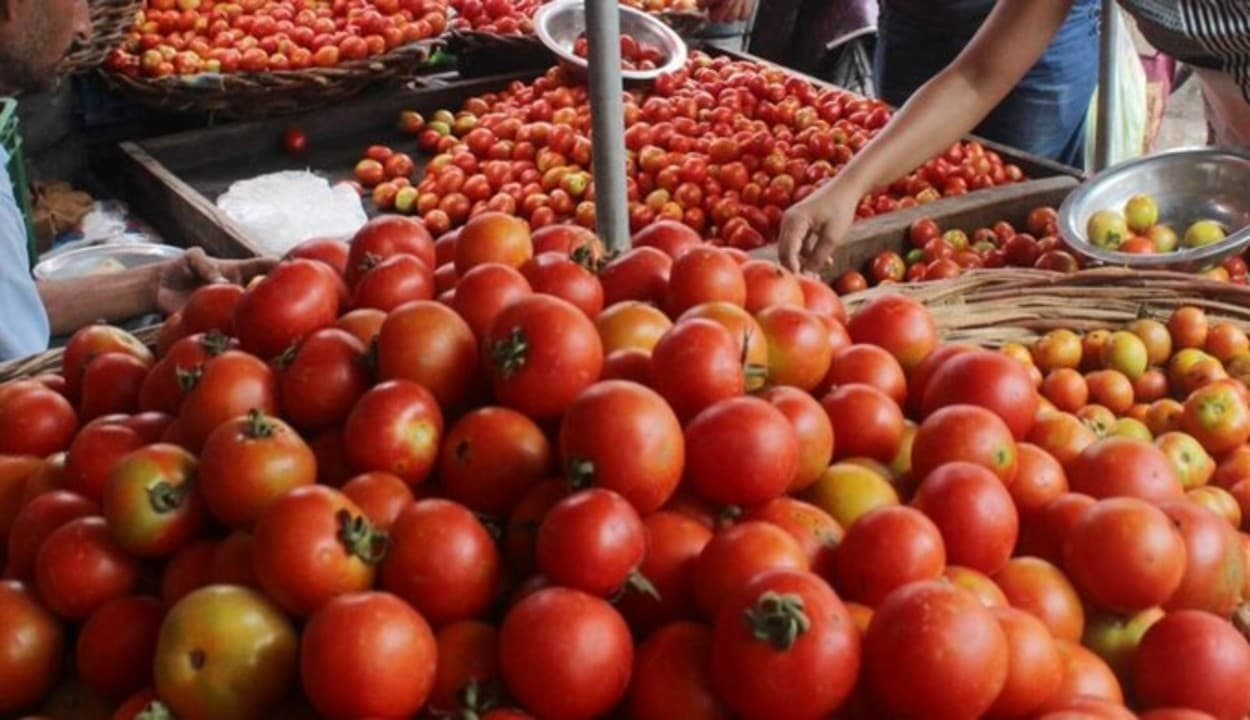 Tomato Price: सस्ता होगा टमाटर! जानें कब, कहां और कैसे मिलेगा