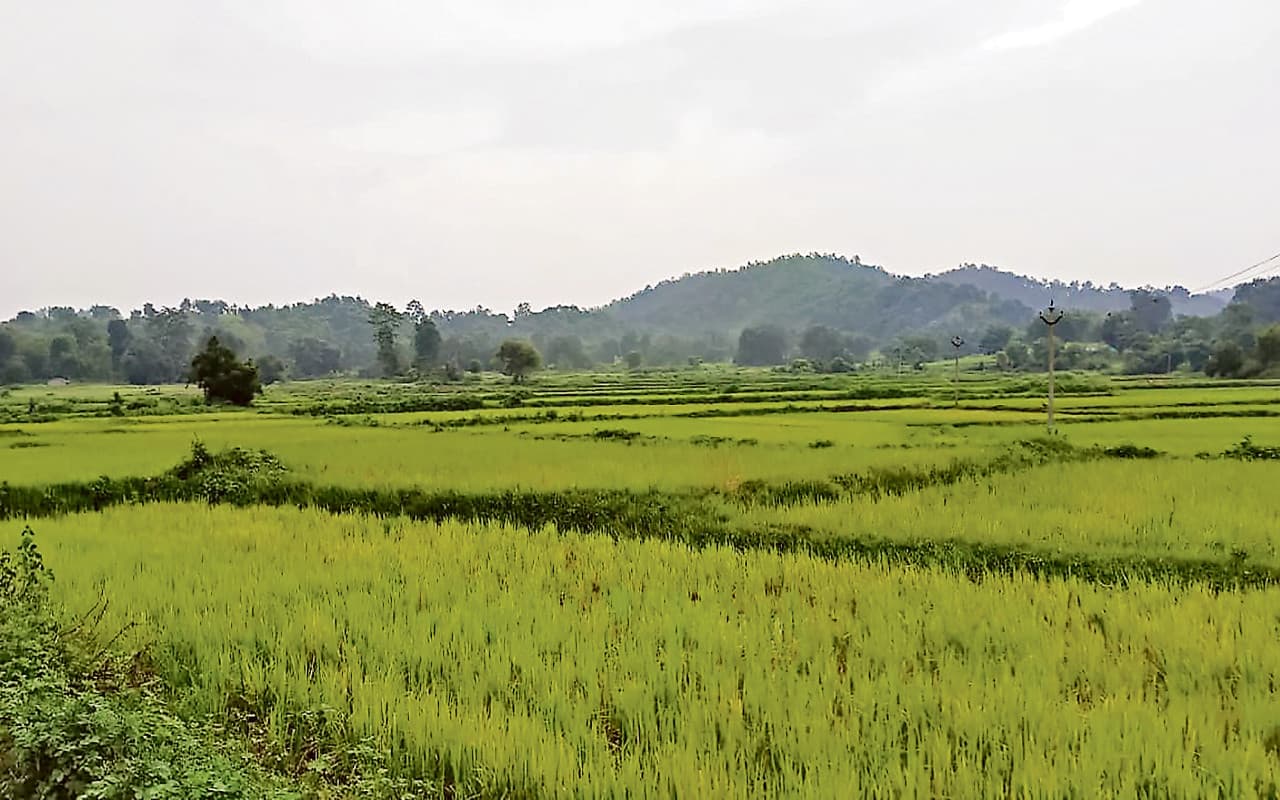 झारखंड : कोल्हान से नक्सलियों को खत्म करने की तैयारी, टोंटो में पहली बार घात लगाकर  सुरक्षाबलों पर किया हमला