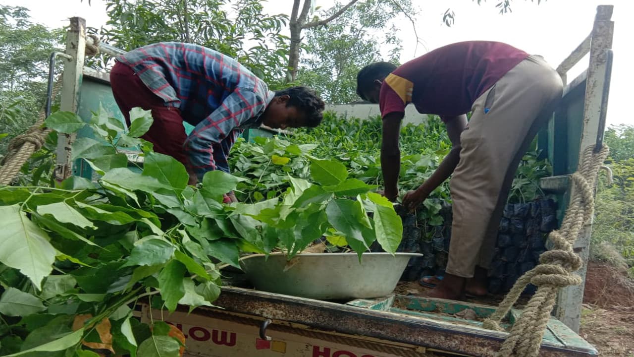प्रभात खबर इंपैक्ट : स्टेट हाइवे ऑथोरिटी ऑफ झारखंड ने पौधरोपण के लिए करीब 46 लाख रुपये किये आवंटित, काटे गये नये पौधों की जगह लगेंगे नये पेड़