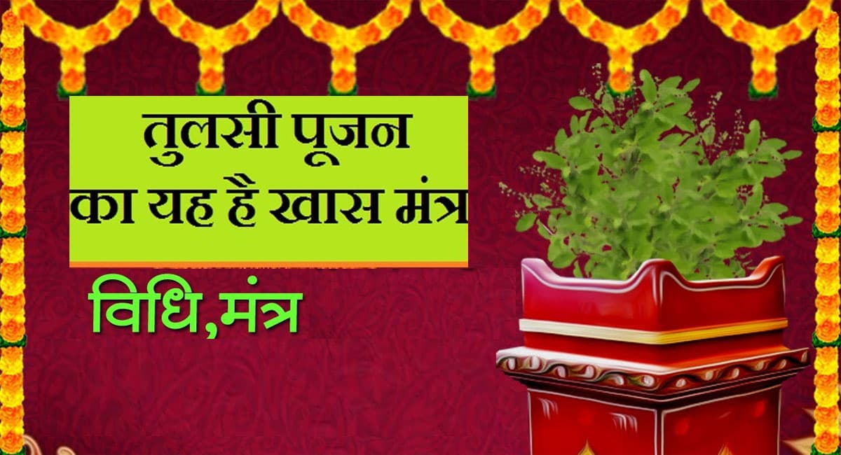 Tulsi Vivah 2021:  कल है तुलसी-शालीग्राम विवाह, मिलेगा सुख-सौभाग्य