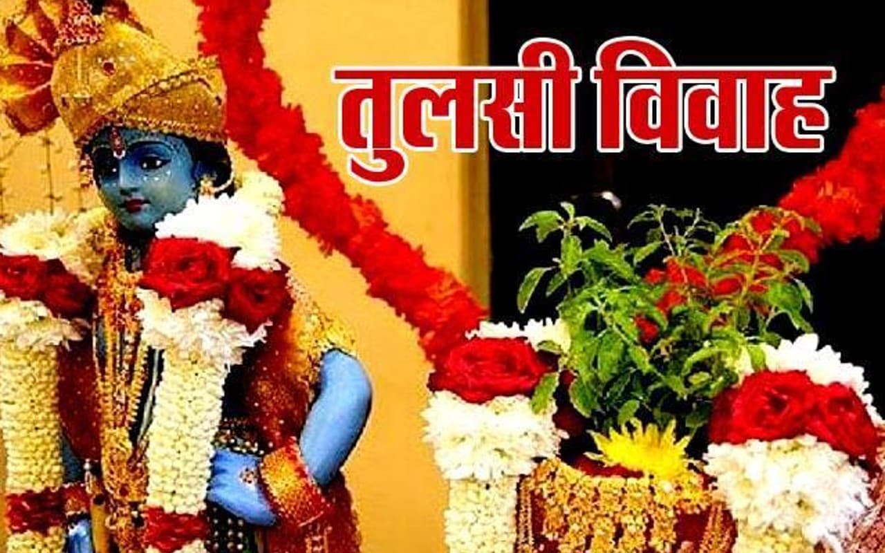 Tulsi Vivah 2023 : देव उठनी एकादशी को तुलसी विवाह, तुलसी पूजन के साथ व्रत से मिलता है सुख-सौभाग्य का आशीर्वाद