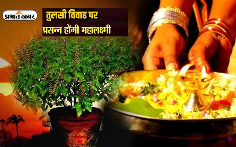 Tulsi Vivah 2022:  तुलसी पूजा से प्रसन्न होती हैं मां लक्ष्मी, जरूर करें ये काम