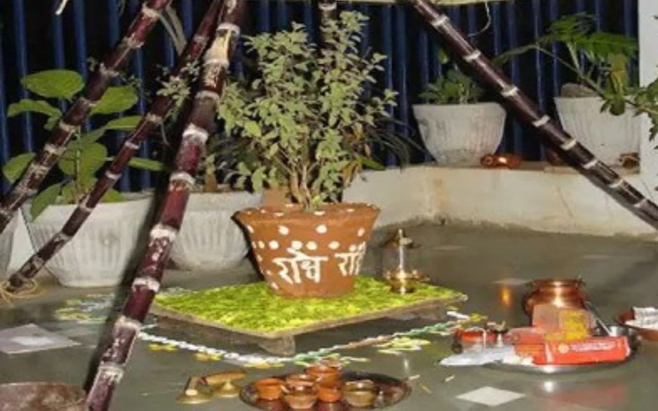 Tulsi Vivah Puja Benefit: तुलसी विवाह पूजा के फायदे, विधि, शुभ मुहूर्त, मंत्र, कथा जानें