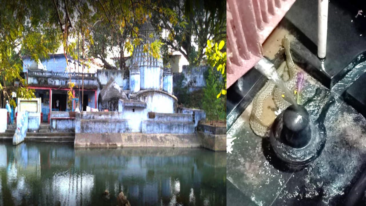 Maha Shivratri 2021 : रामगढ़ के टूटी झरना प्राचीन शिव मंदिर के शिवलिंग पर सालों भर होता जलाभिषेक, नाग देवता का भी होता है दर्शन