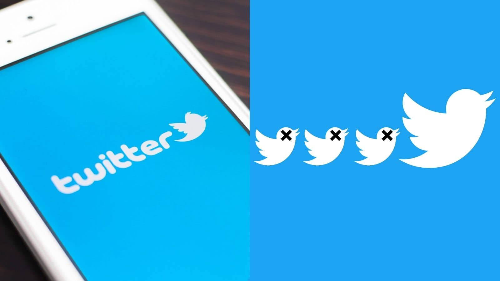 Twitter पर अमिताभ बच्चन से लेकर अनुपम खेर तक के फॉलोअर्स अचानक क्यों हो रहे हैं कम? ट्विटर ने बतायी वजह