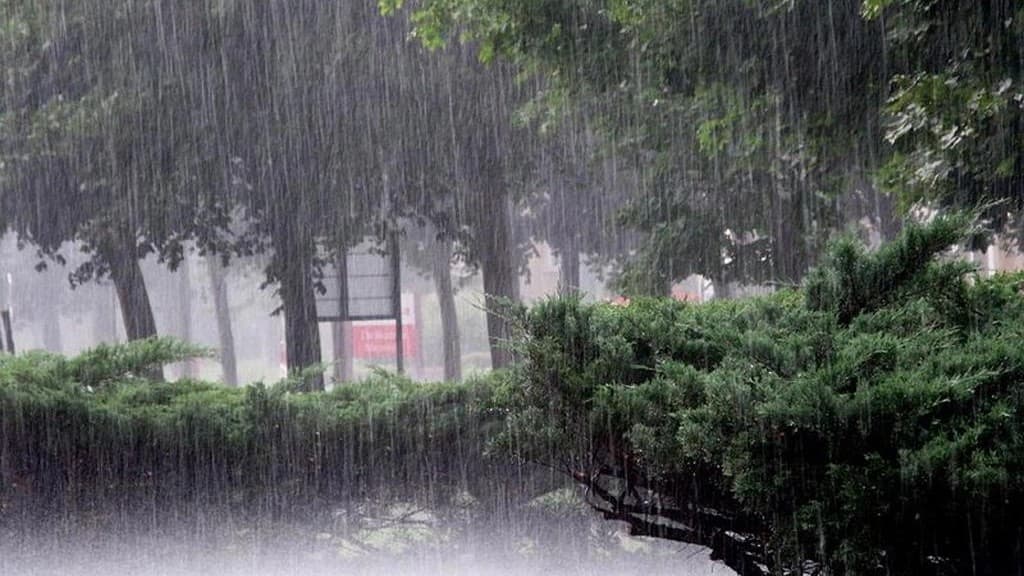 UP Weather Update: यूपी में कहीं बारिश कहीं उमस का मौसम, इन जिलों में बरसेंगे बादल, जानें अपने शहर का हाल