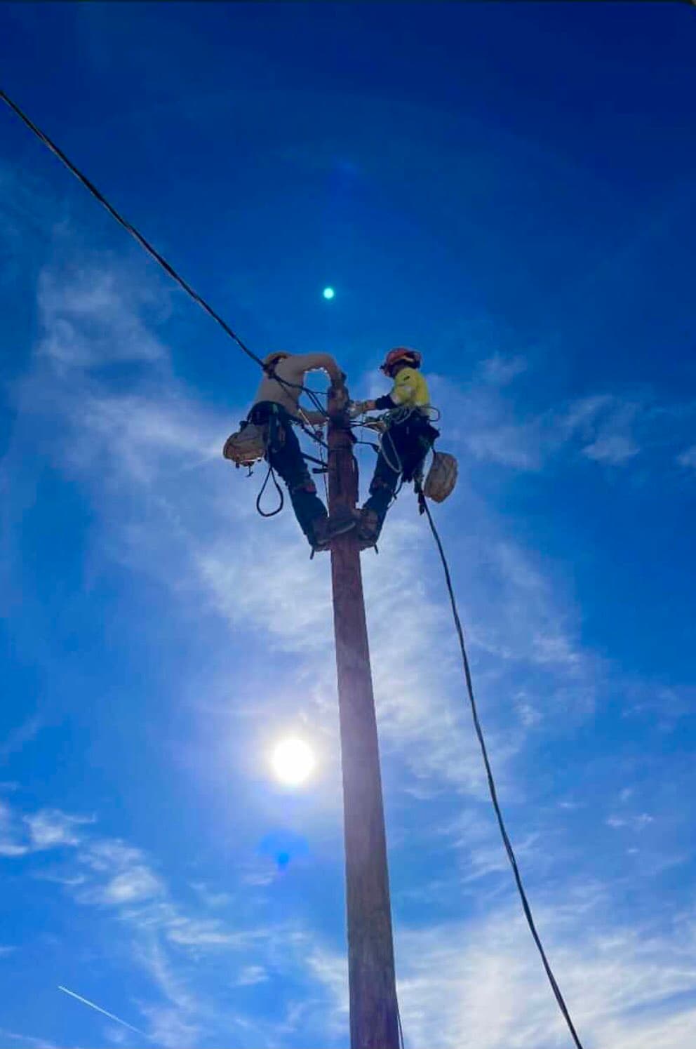 UPPCL OTS : 2 KW तक के कॉमर्शियल कंज्यूमर्स का 100% सरचार्ज माफ, चुनाव से पहले योगी सरकार ने उठाया नायाब कदम