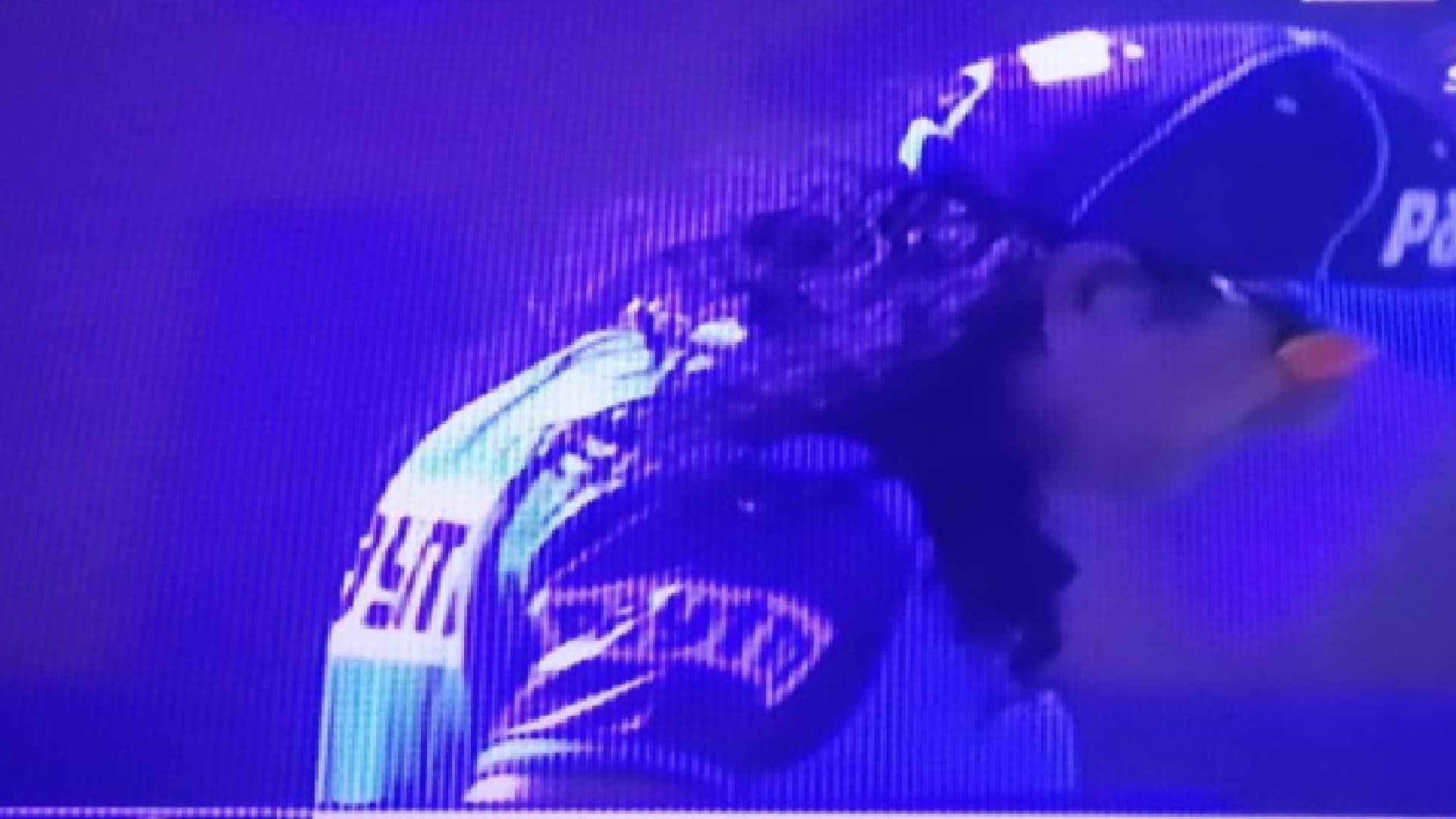 IPL 2020 : रॉकस्टार से कम नहीं हैं ये अंपायर, इस धांसू लुक की खुब हो रही चर्चा, आप भी देखें