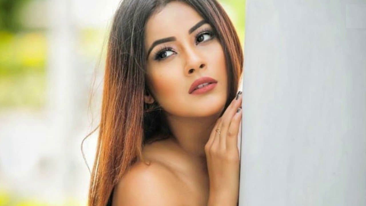 Shehnaaz Gill के इंस्टाग्राम पर हुए  7.6 मिलियन फॉलोवर्स, फैंस ने कहा Sidharth Shukla के साथ एक फिल्म तो . . .
