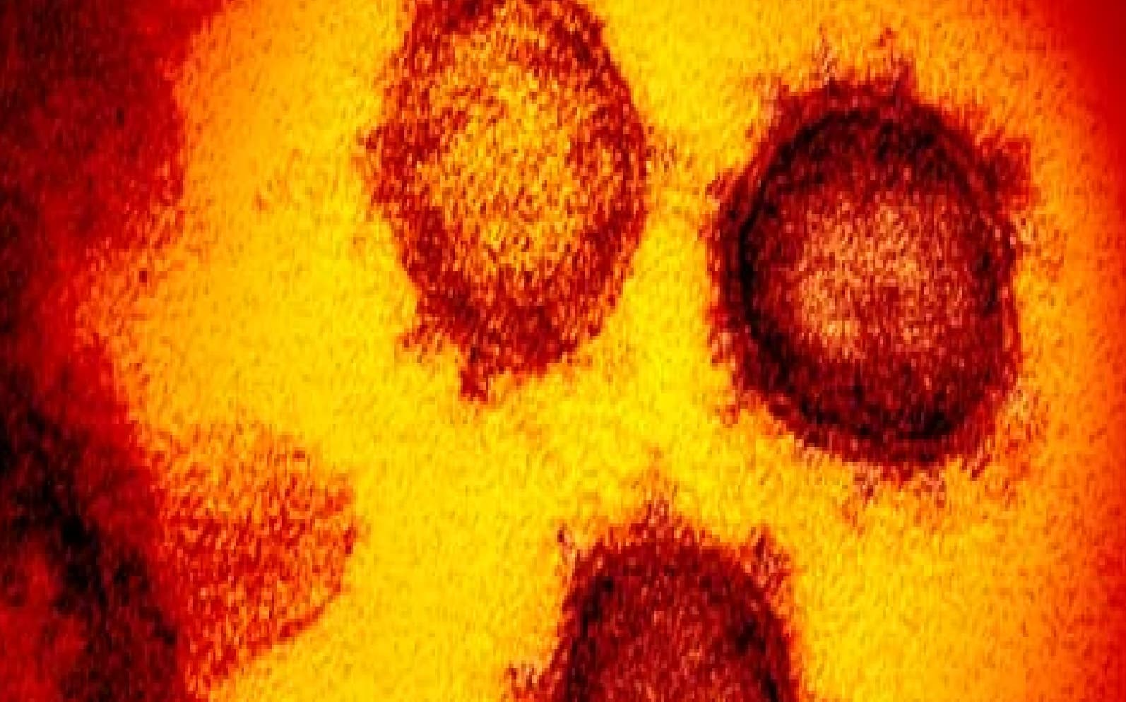 देश में कोरोना संक्रमण के नये वेरिएंट का खतरा, डेल्टा + के 7 नये मामले : जानें कितना है खतरनाक ?