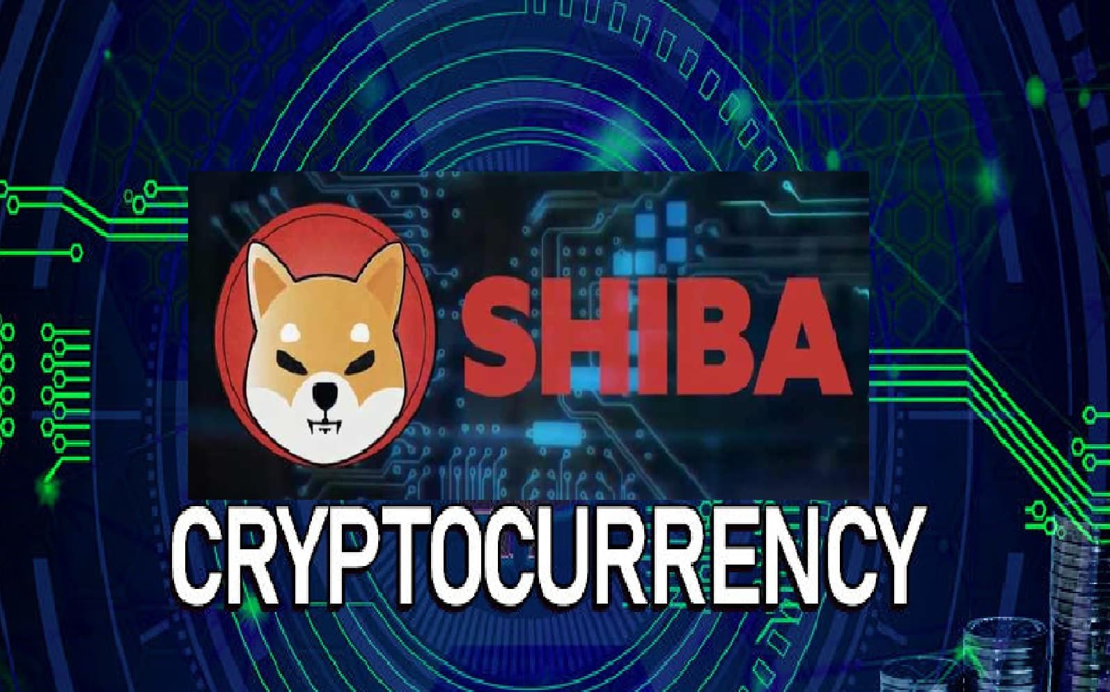 Cryptocurrency : 100 रुपये में 2 लाख क्रिप्टोकरेंसी, जानें कहां है मौका,  निवेश कितना है सुरक्षित ?