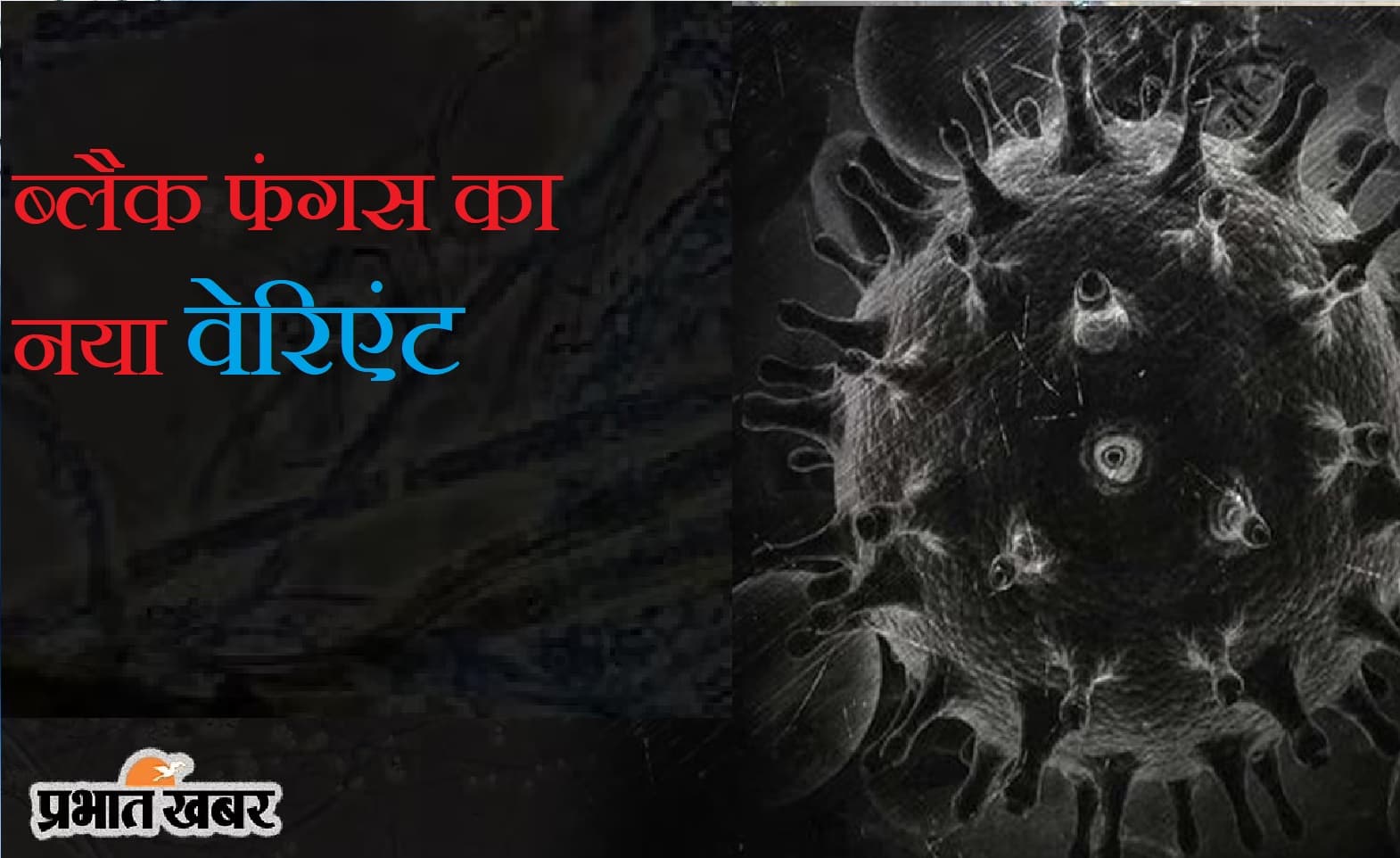 Black Fungus New Variant : अब ब्लैक फंगस के अलग वेरिएंट ने बढ़ायी परेशानी, इससे लड़ने के लिए कारगर नहीं है पुरानी दवा