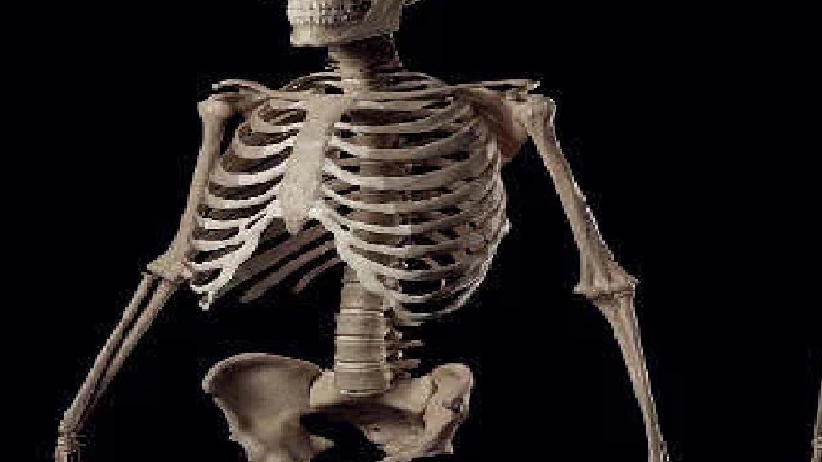 15 सालों तक घर में रखी लाश, गंध दूर करने के लिए करता था एयर फ्रेशनर का इस्तेमाल