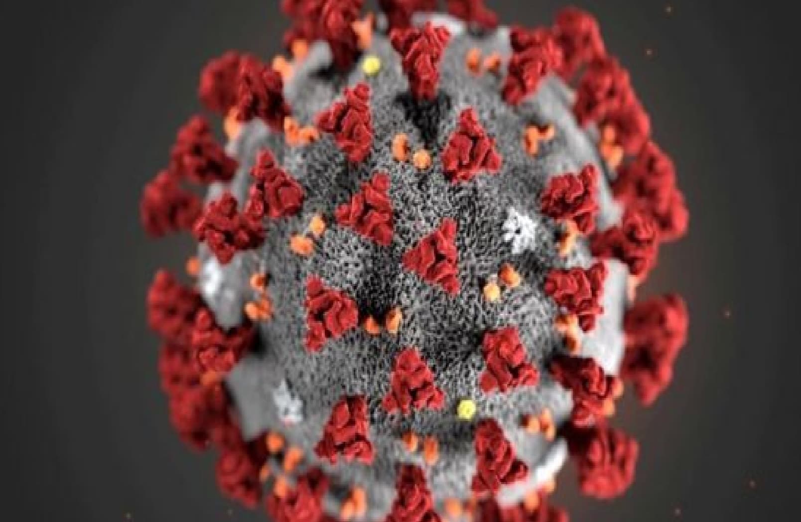 Corona Vaccine Update : पांच महीने से कोरोना पीड़ित महिला की अबतक 31 बार हो चुकी है जांच, रिपोर्ट पॉजिटिव