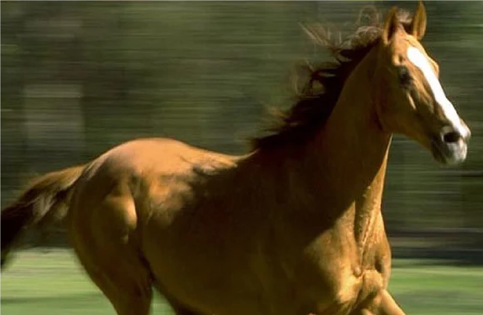 वायरल हो रहा है कॉलेज का नोटिस कहा, 14 फरवरी से पहले ब्वायफ्रेंड बना लें लड़किया