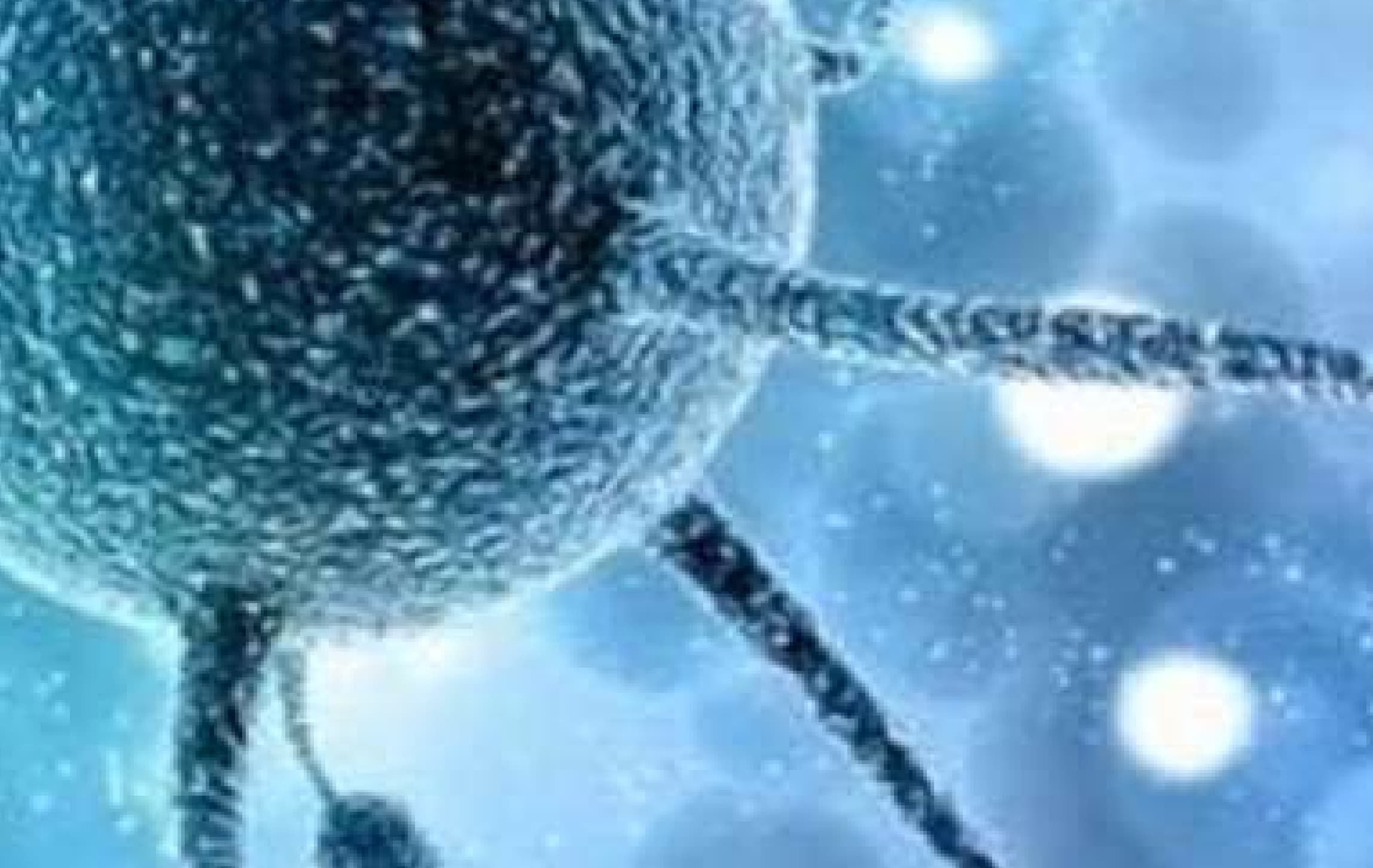 कोरोना की तरह फैल रहा है केरल में दूसरा संक्रमण