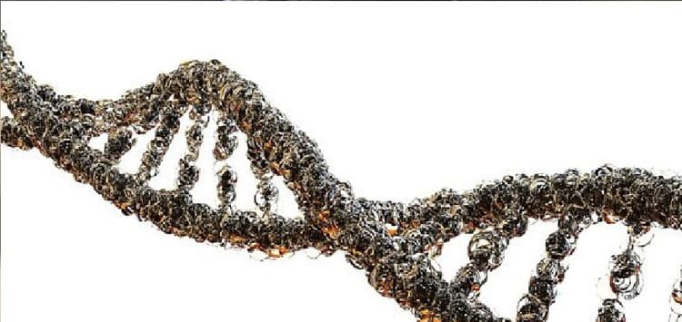 सरकार ने शुरू की मनोवैज्ञानिक मदद के लिए हेल्पलाइन, 13 भाषाओं में मिलेगी सलाह