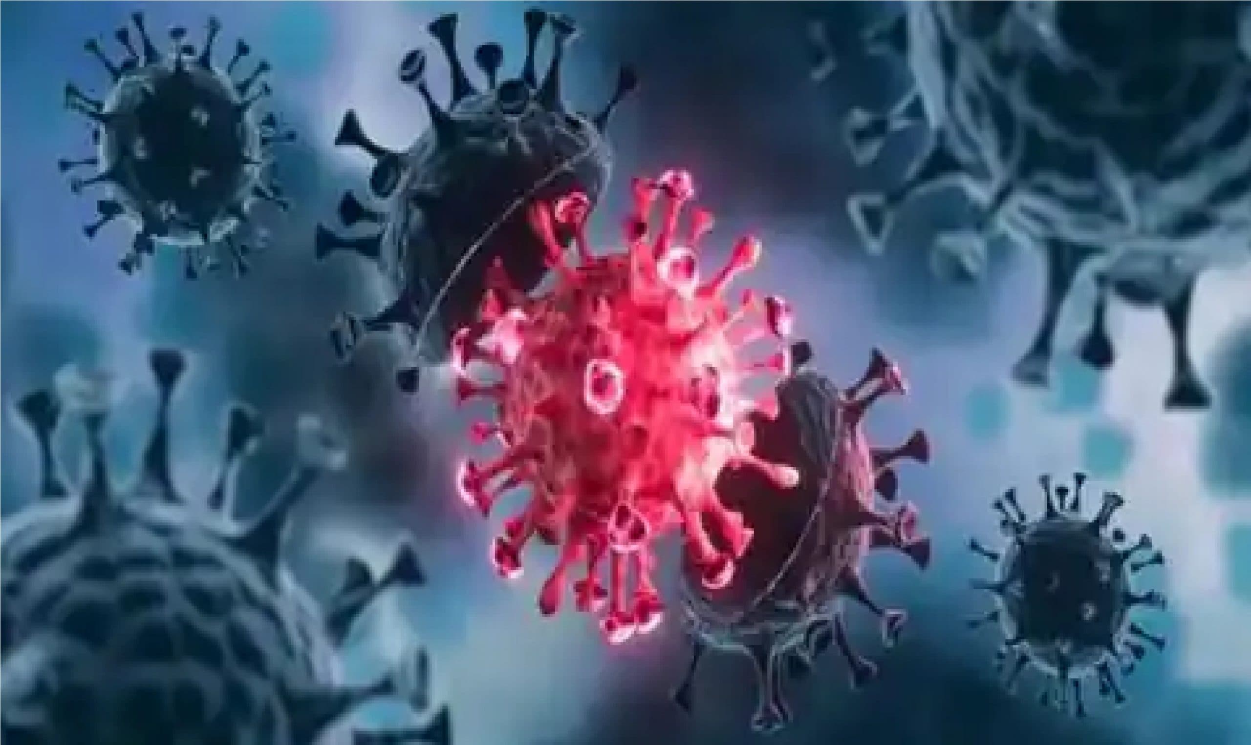 डेल्टा और डेल्टा प्लस वेरिएंट का सबसे ज्यादा खतरा 50 के पार लोगों को, क्या है सुरक्षित रहने के उपाय ?