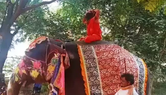 हाथी पर योगाभ्यास करते हुए गिरे योग गुरु बाबा रामदेव, सोशल मीडिया पर वायरल हुआ वीडियो