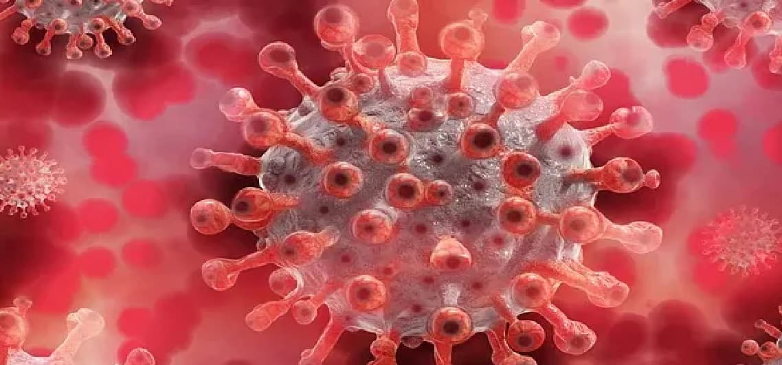 कोविड-19 संक्रमित 25 और लोगों की मौत, संक्रमण के 672 नये मामले