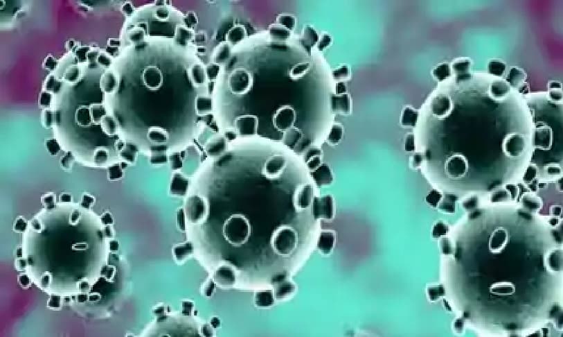 कोरोना वायरस : क्या भारत में काम आयेगी ‘herd immunity’ रणनीति, जानें क्या है खतरा कोरोना वायरस : क्या भारत में काम आयेगी ‘herd immunity’ रणनीति, जानें क्या है खतरा
