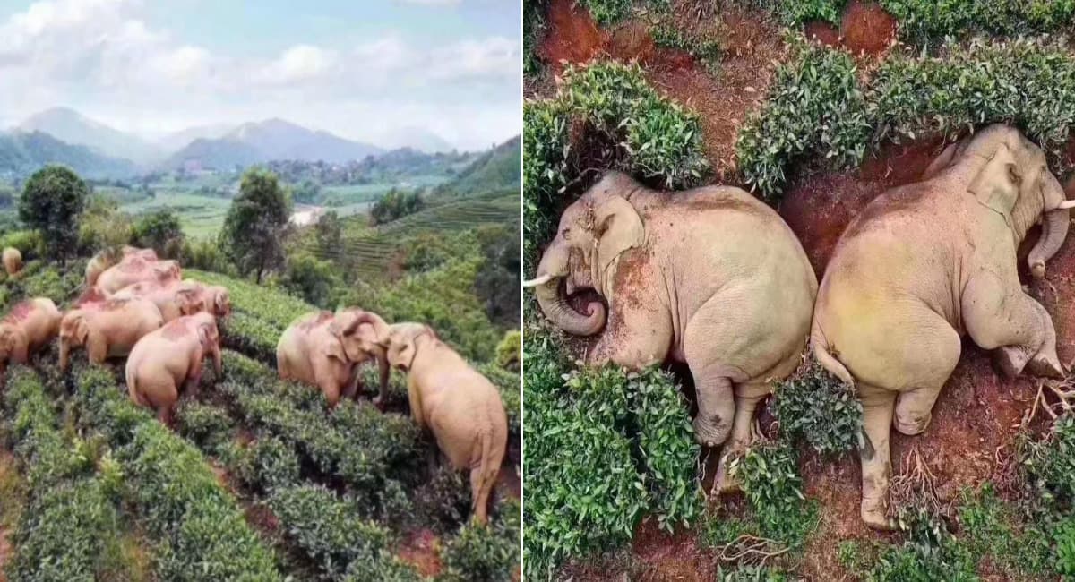 JAC 9th Result 2020: आने वाला है झारखंड में नवीं का रिजल्ट, jac.jharkhand.gov.in कर सकते हैं चेक