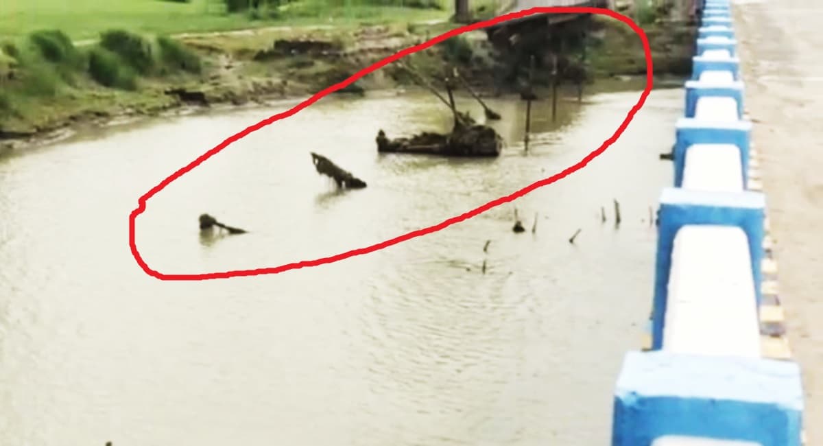 ईडी कार्यालय में पेश हुईं जयश्री घोष, भर्ती भ्रष्टाचार मामले में गिरफ्तार है कुंतल