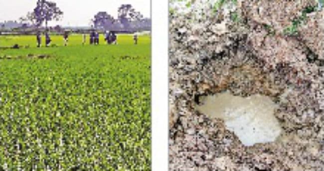 अचानक खेत में आसमान से गिरा बम, डर से इधर-उधर भागने लगे ग्रामीण