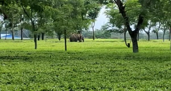 West Bengal : वंदे भारत एक्सप्रेस ट्रेन पर फिर हुआ पथराव, पहले भी हो चुकी है ऐसी घटना, Video