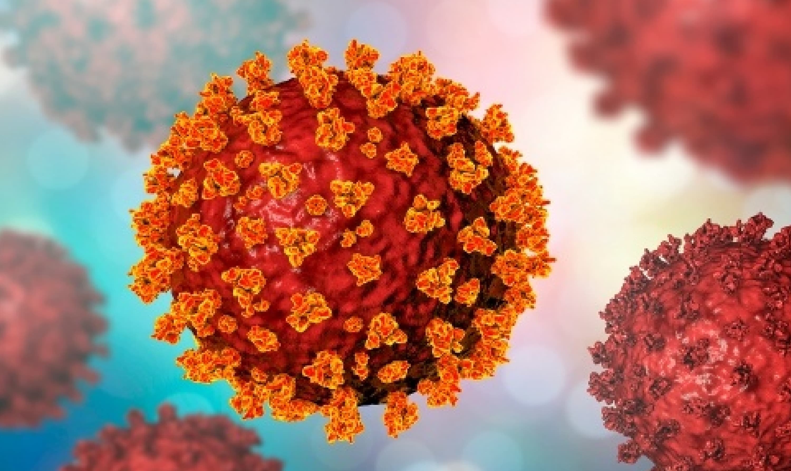 झारखंड : एदलहातू से अगवा बच्चे की हत्या, भीड़ ने किया थाना का घेराव, मां ने कहा- बच्चा गोद में रहता, लेकिन...