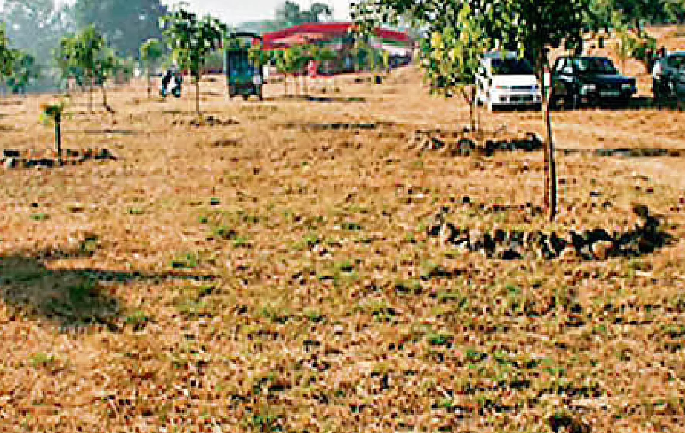 MS Dhoni: माही के घर आयी नयी सवारी, डिलीवरी लेने के बाद राइड करते नजर आए MSD, देखें तस्वीर