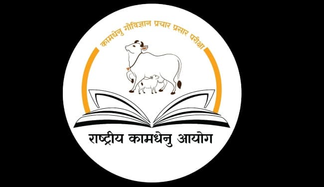 विवादास्पद दावों के बीच केंद्र सरकार ने कहा, नहीं पता, क्यों होता है देसी गाय के दूध में पीलापन?