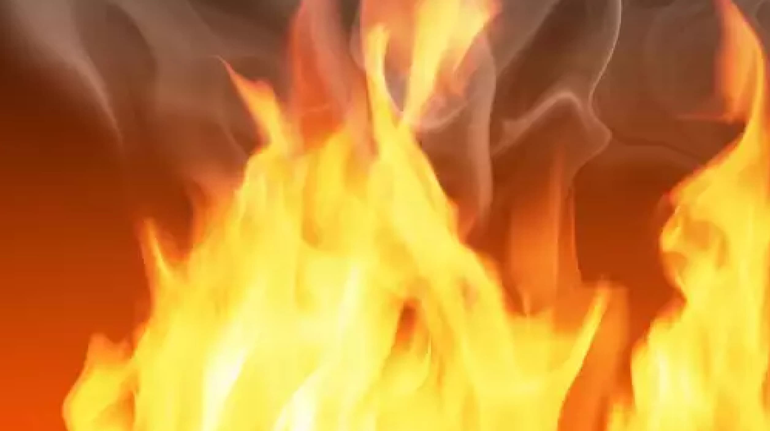 Rajasthan news : मकान में लगी आग परिवार के चार लोगों की जलकर मौत, पुलिस को मिले सिर्फ कंकाल