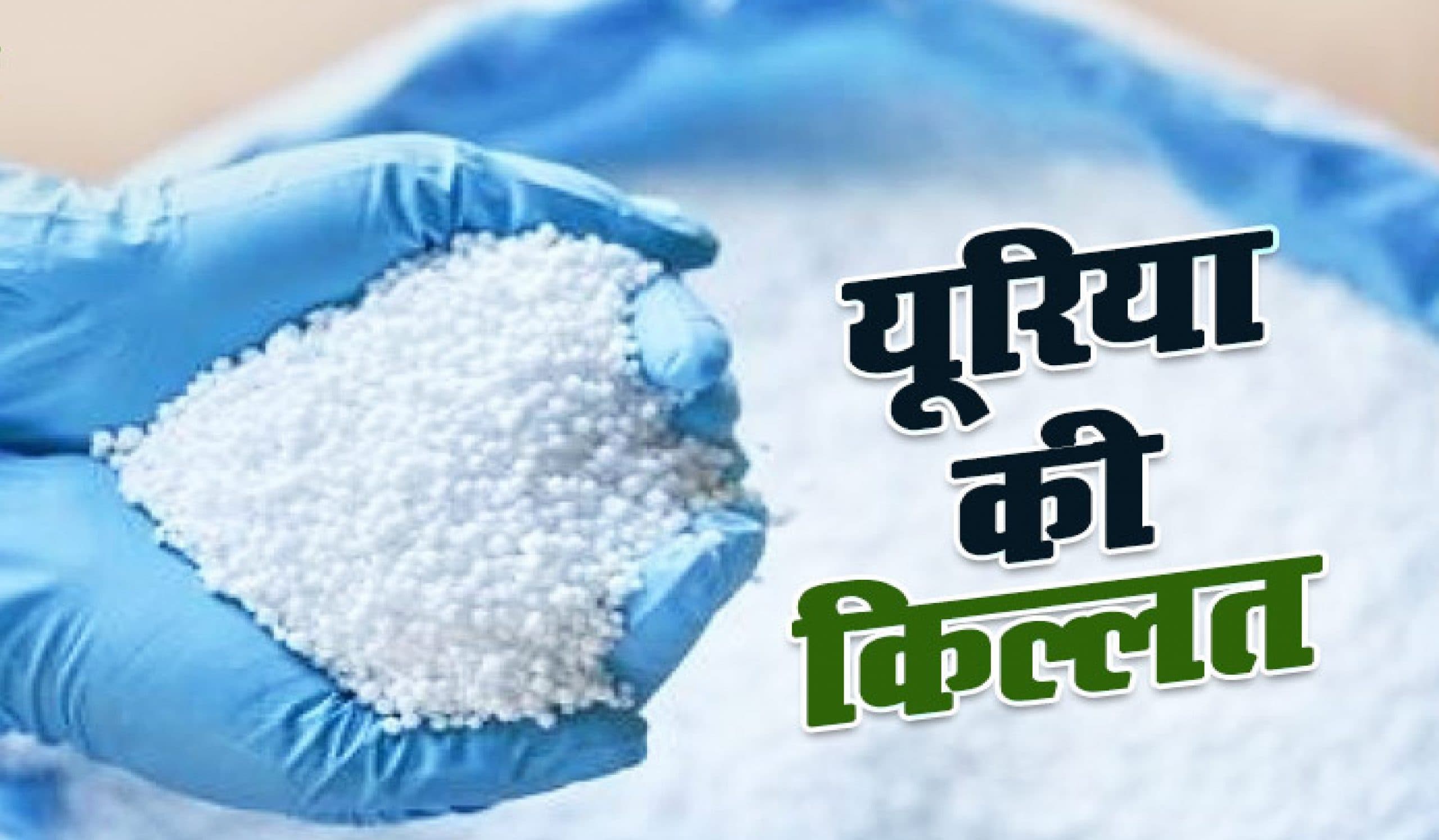 बिहार में खत्म होगी यूरिया की किल्लत, रजिस्ट्रेशन व आधार कार्ड पर एक किसान को दो बैग मिलेगी यूरिया